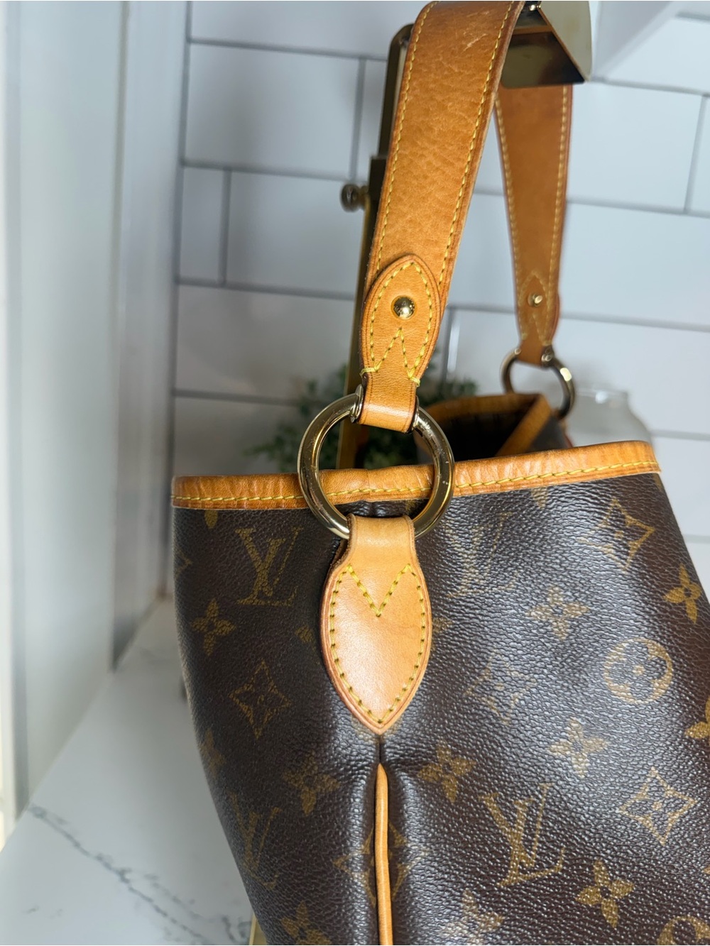 Louis Vuitton Delightful PM - Monogram Canvas - Picture 13 of 15